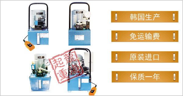 DMP型電動液壓泵 DMP型電動液壓泵